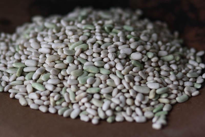 Flageolet Beans with Slow-Roasted Tomatoes Recipe – Rancho Gordo