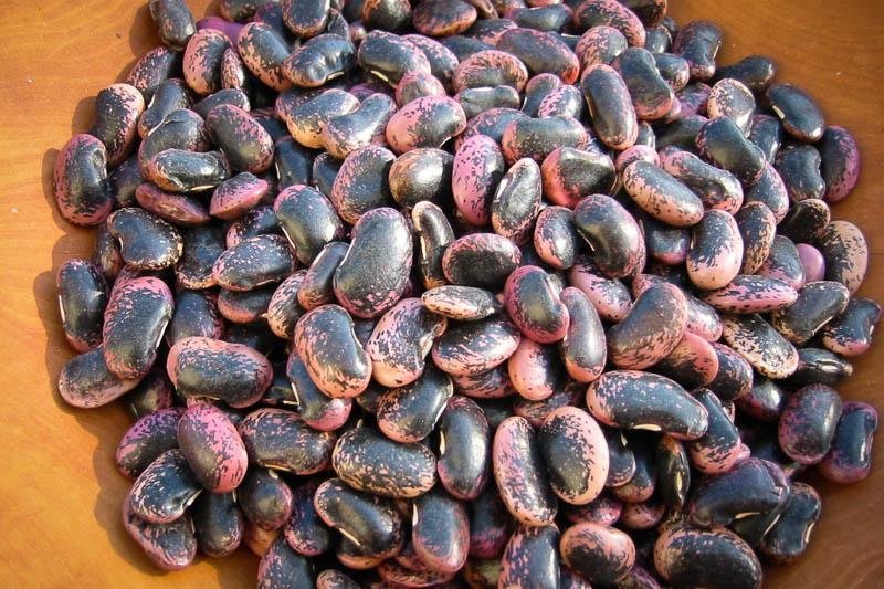 Scarlet Runner Salad Recipe – Rancho Gordo