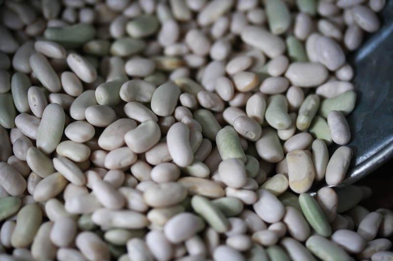 Spring Lamb and Flageolet Beans Recipe – Rancho Gordo