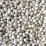 Uncooked Caballero beans.
