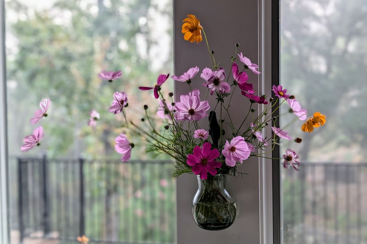 hanging glass vase for plants Handblown Glass Wall Pocket