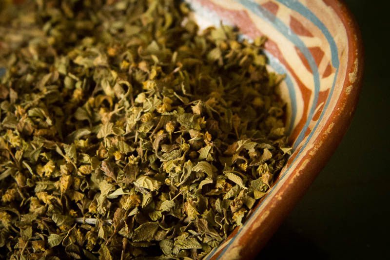 mexican oregano plant seeds Mexican Oregano – Rancho Gordo