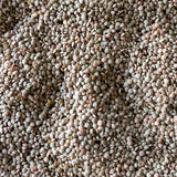 Small Puglia lentils