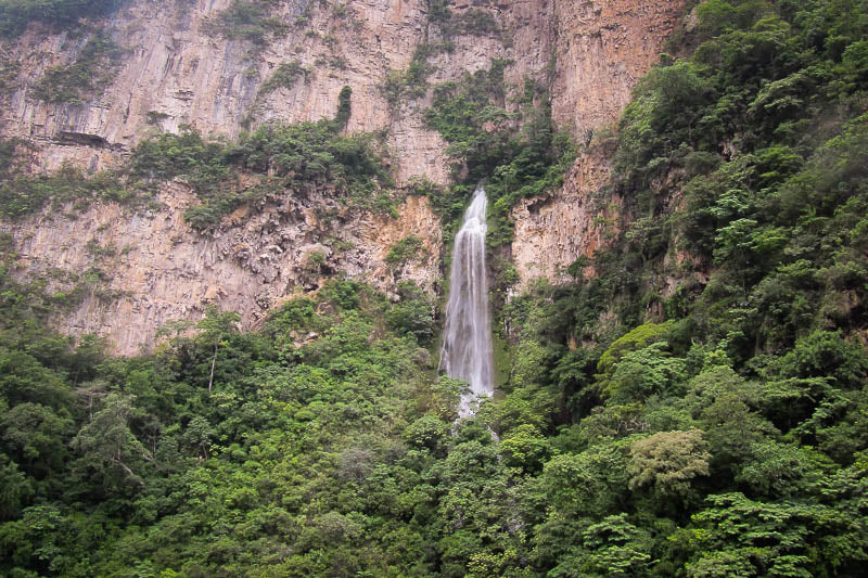 A waterfall with lots of trees around 
