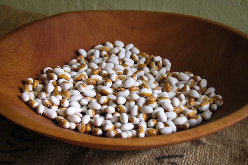 Yellow Eye, a small white bean with a yellow spot - Rancho Gordo, Heirloom beans