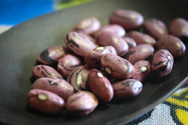 Instant Pot Rio Zape Beans (No Soaking) - DadCooksDinner