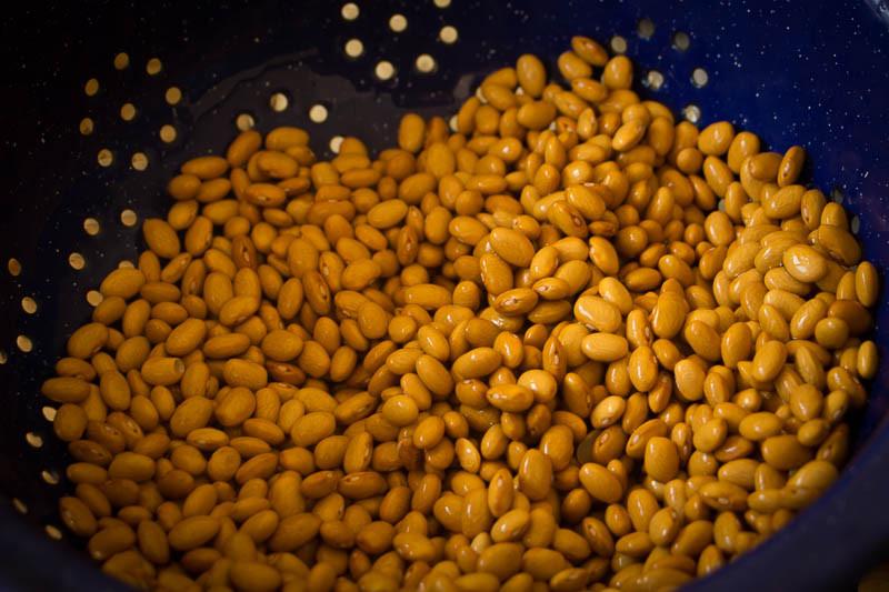 Rancho Gordo dried Buckeye beans in a strainer
