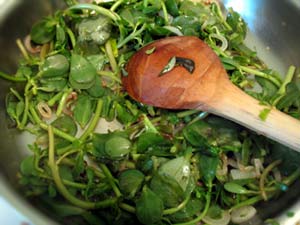 Purslane in the Garden and in the Kitchen