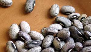 Tarahumara Tekomari Runner Beans