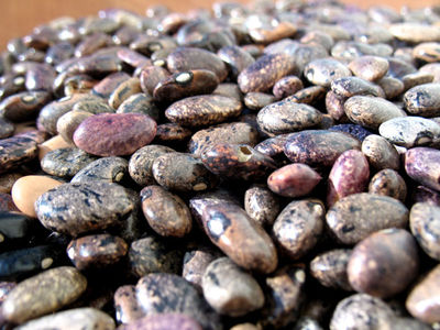 Beans from Hidalgo