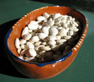 White Beans from Brigit Binns