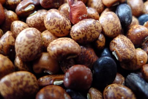 Beans From Oaxaca