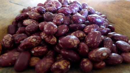 Beans from Ecuador