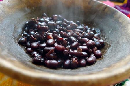 Frijol Xculibul: A New Heirloom from the Yucatan