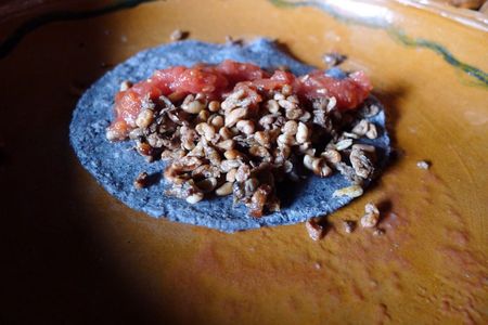 Escamoles: Ant Eggs Are Delicious