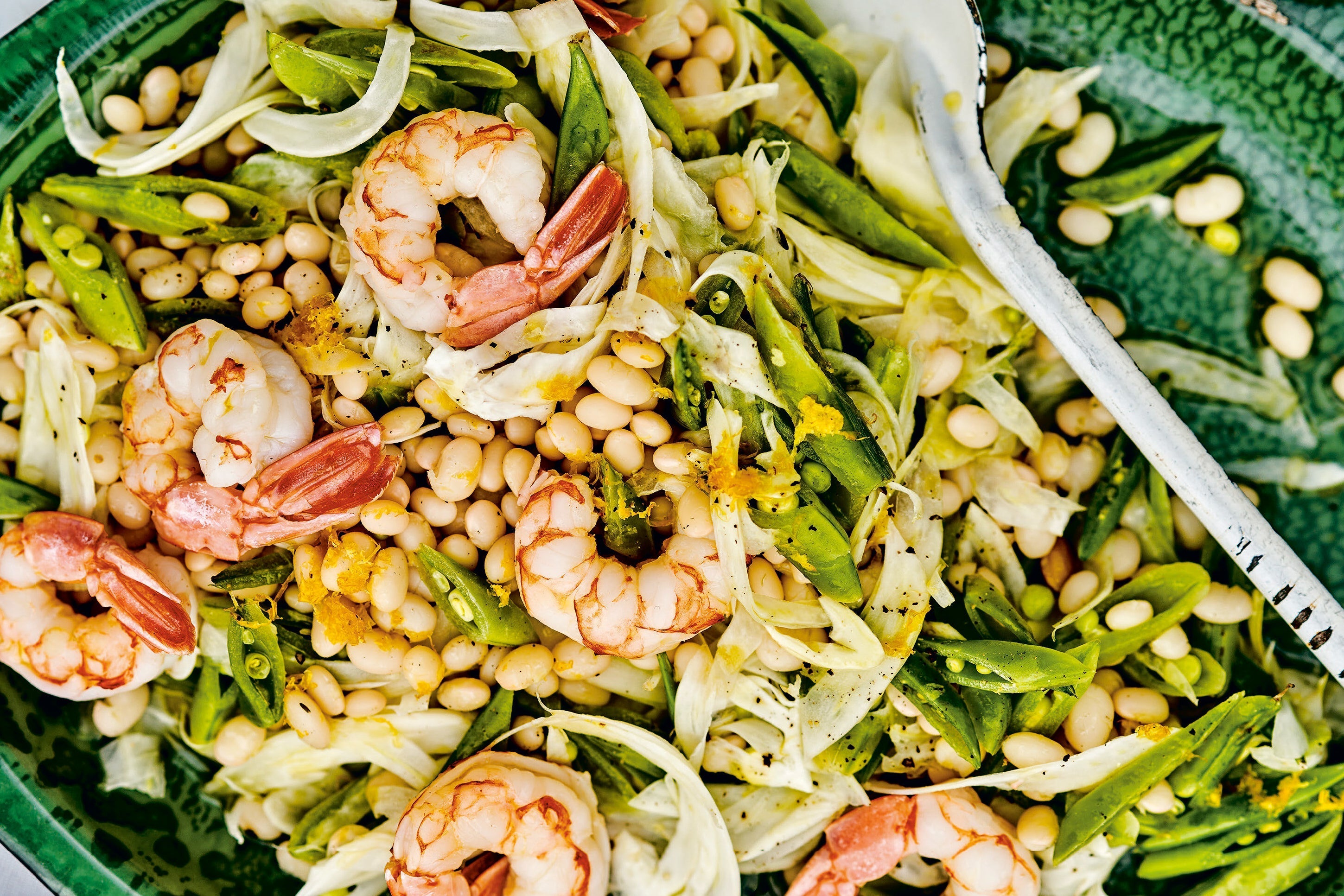 Herbed Fennel, Shrimp, and Bean Salad