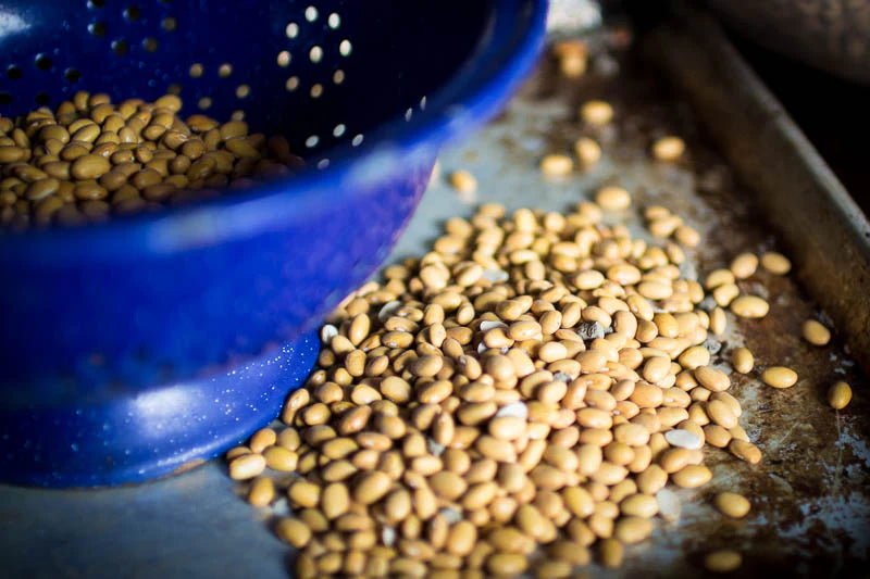 Another Thought on Why We Soak Beans - Rancho Gordo