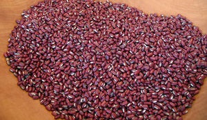 Rice Bean from Chiapas