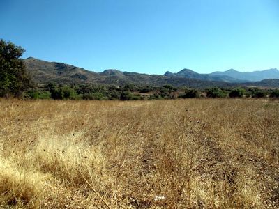 Beanfields - Rancho Gordo