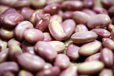 Borrachos - Rancho Gordo