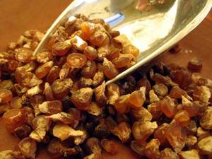 Chicos - Rancho Gordo