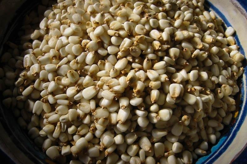 How to Cook Prepared Hominy - Rancho Gordo