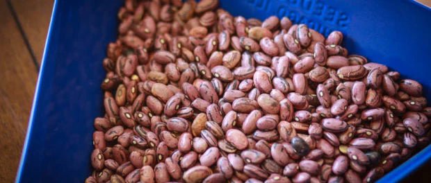 One Pot - Three Meals with San Franciscano Beans - Rancho Gordo