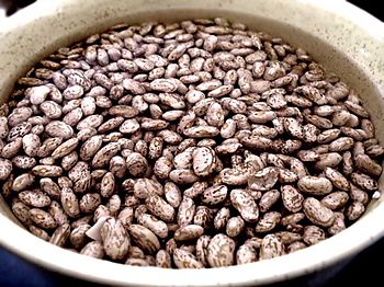 Perfect Pintos - Rancho Gordo