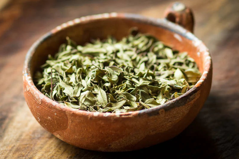 In Praise of Oregano (and Thyme)
