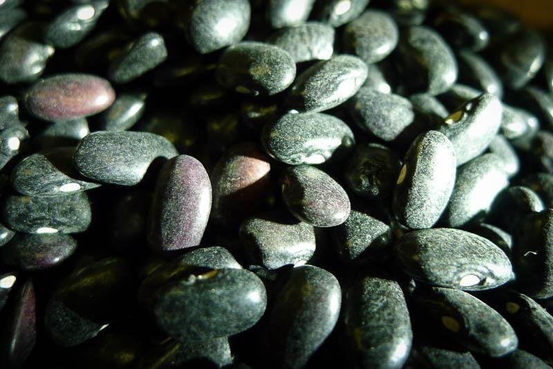 Rowan Family Black Bean Chili - Rancho Gordo