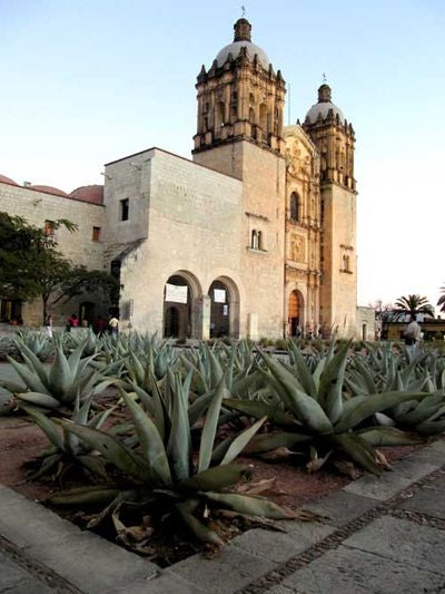 Santo Domingo in Oaxaca - Rancho Gordo