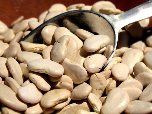 Simple Royal Coronas with a Ham Hock and Peppers - Rancho Gordo