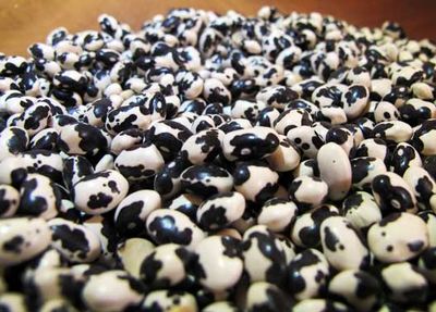 The Return of Black Calypso - Rancho Gordo