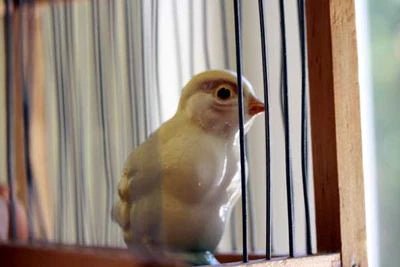 They're Back! - Rancho Gordo