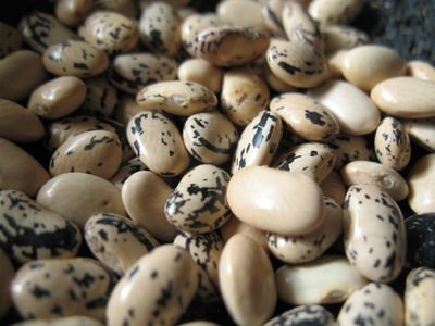 When Our Own Heritage Becomes Exotic - Rancho Gordo