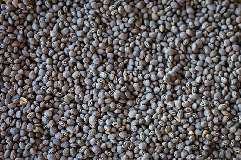 Blue Goose Field Pea - Rancho Gordo