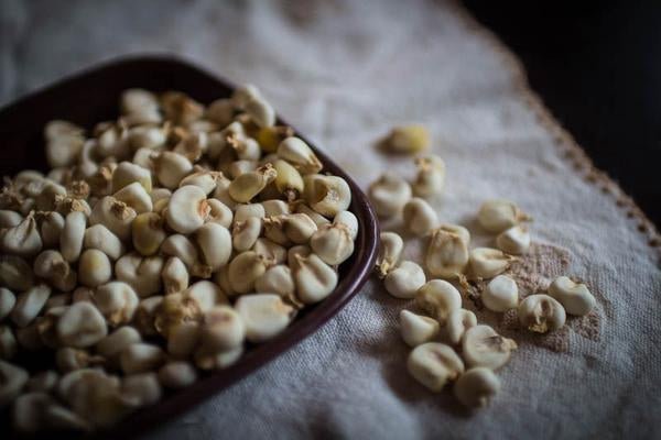 Corn – Rancho Gordo