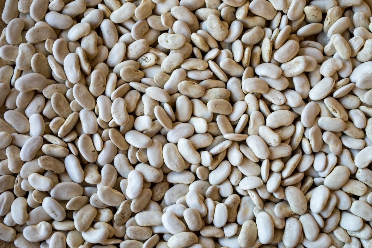 Dirty Cassoulet Bean - Rancho Gordo