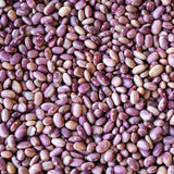 Flor de Junio Bean - Rancho Gordo