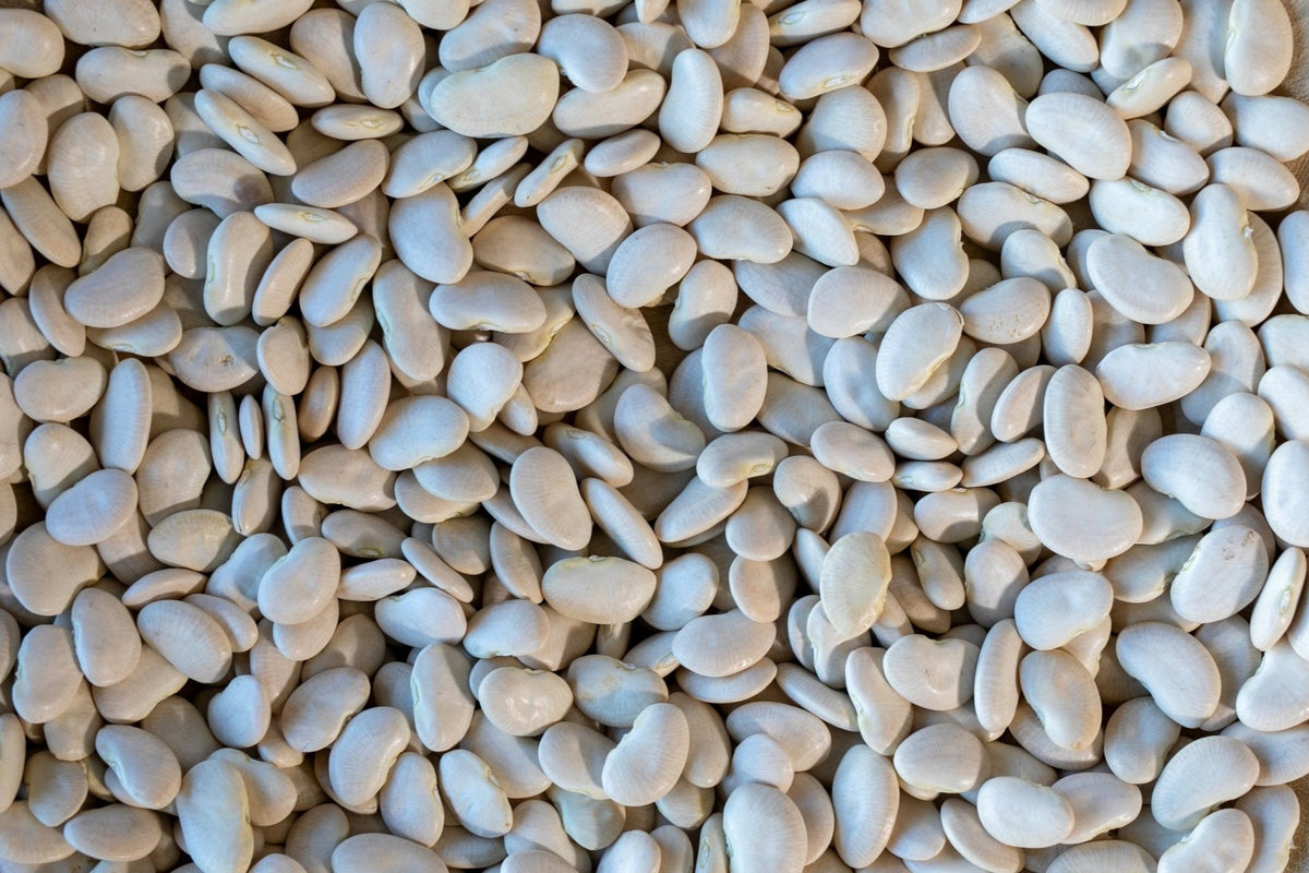 Large Lima Peruvian Lima Bean Salad (Ensalada de pallares) – Rancho Gordo