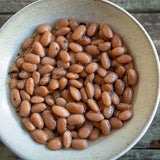 Mantequilla Bean - Rancho Gordo