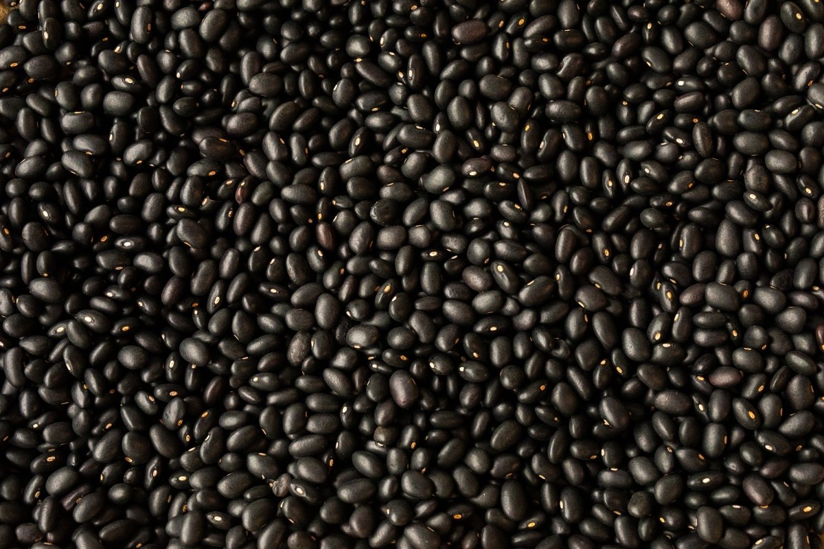 Negro de Suelo Bean - Rancho Gordo