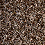 Pardina Lentil - Rancho Gordo