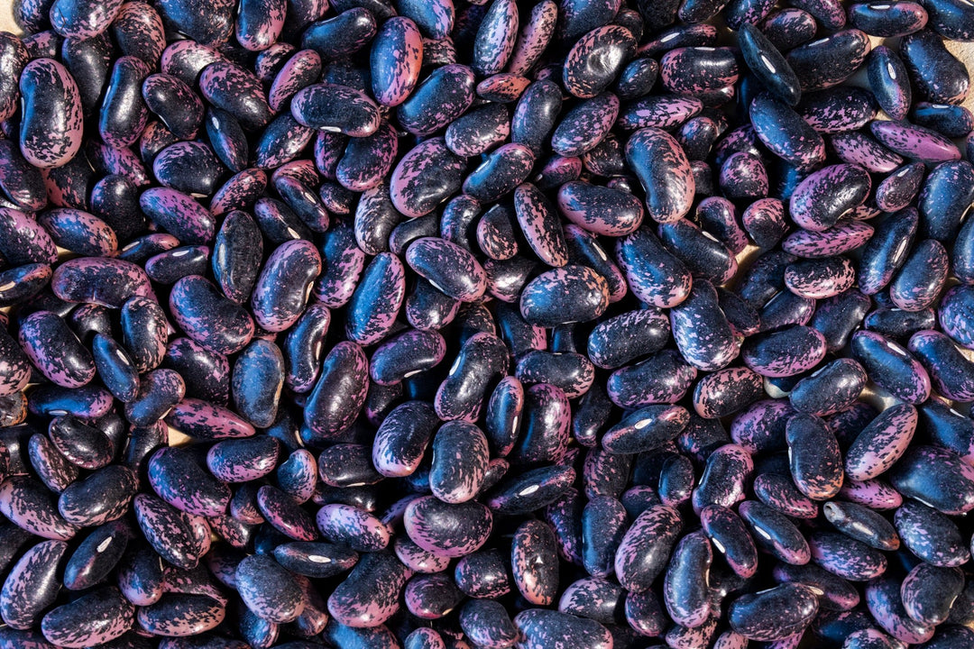 Scarlet Runner Bean – Rancho Gordo