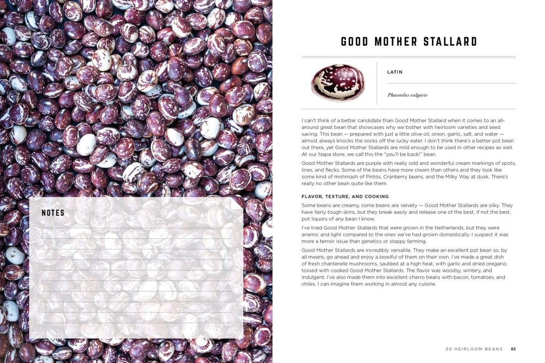 The Rancho Gordo Heirloom Bean Guide