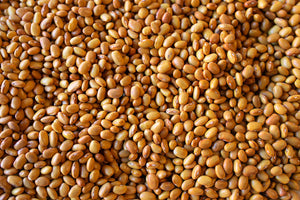 Rancho Gordo dried Buckeye bean 