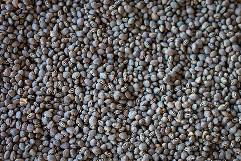 A pound of Rancho Gordo Blue Goose Field Peas spread out