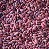 Dried Tuscan Red Bean- Rancho Gordo 
