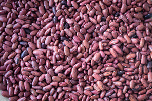 Dried Tuscan Red Bean- Rancho Gordo 