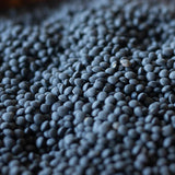 Rancho Gordo- Dried Black Caviar lentils